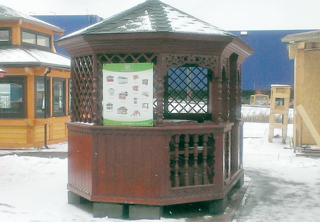 Белинка Экстерьер