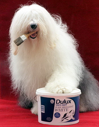 Dulux